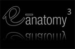e-Anatomy